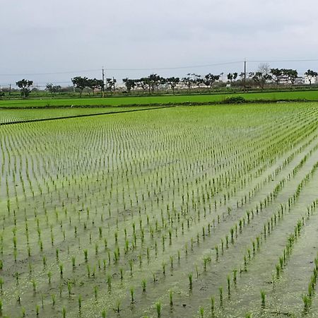 Yilan Xiang Feng Homestay وجي المظهر الخارجي الصورة